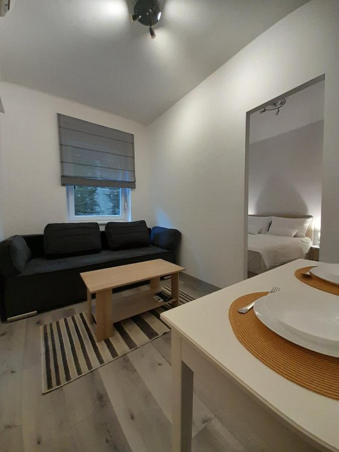 Studio Apartman Lena Rijeka Exterior foto
